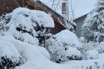 大雪に見まわれました