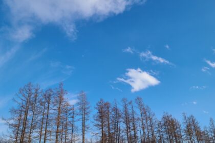 北海道オンライン移住相談会